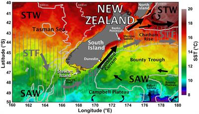 Temporal Variability of Thermohaline Fine-Structure Associated With the Subtropical Front Off the Southeast Coast of New Zealand in High-Frequency Short-Streamer Multi-Channel Seismic Data